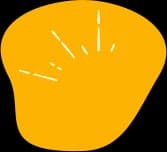Shape